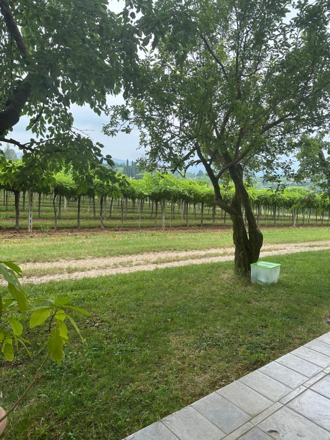 Agriturismo Fioravante ซานเปียโตร อิน กาเรียโน ภายนอก รูปภาพ